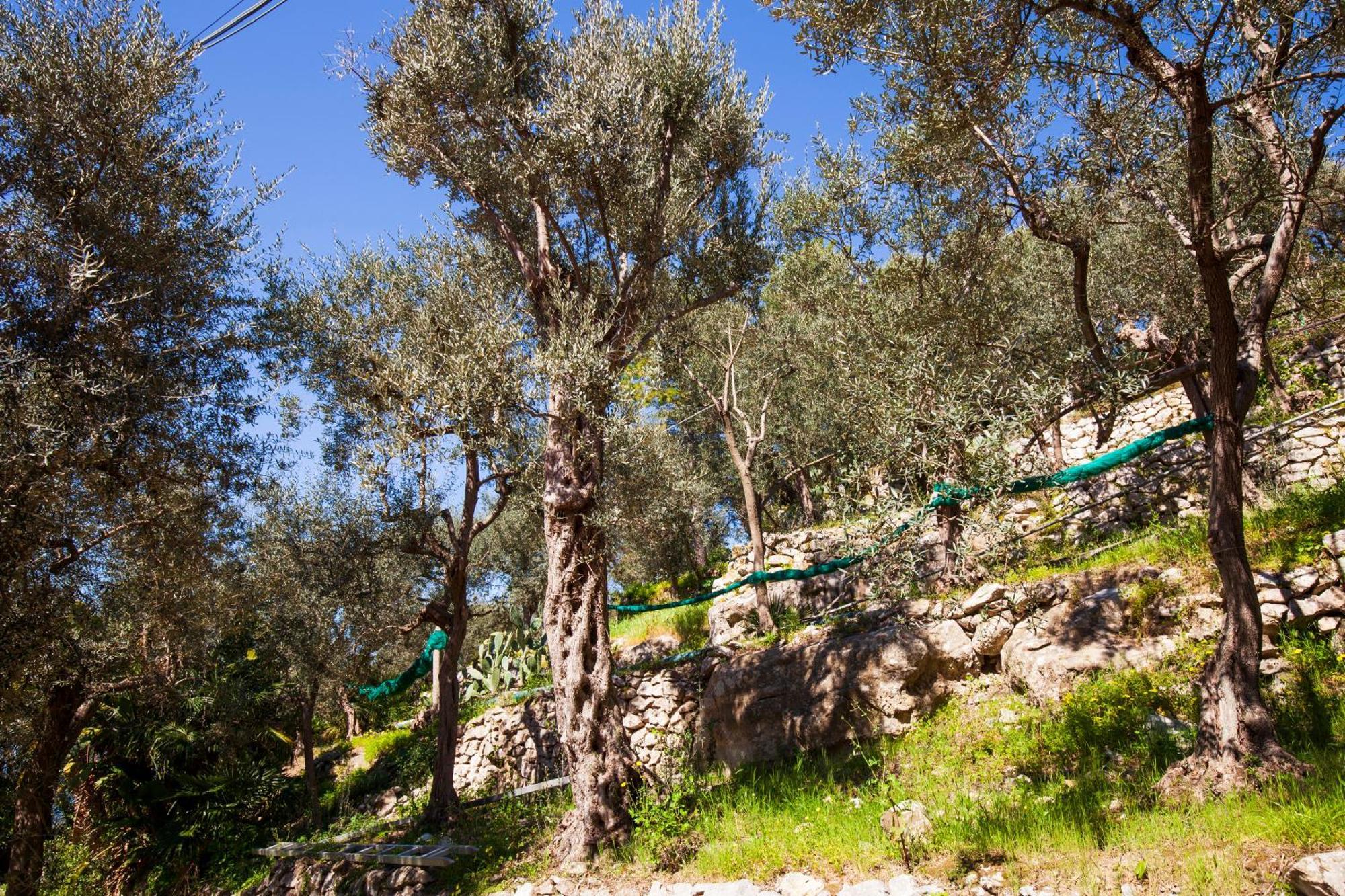 Un Paradiso A Sorrento Con Piscina Масса-Лубренсе Екстер'єр фото