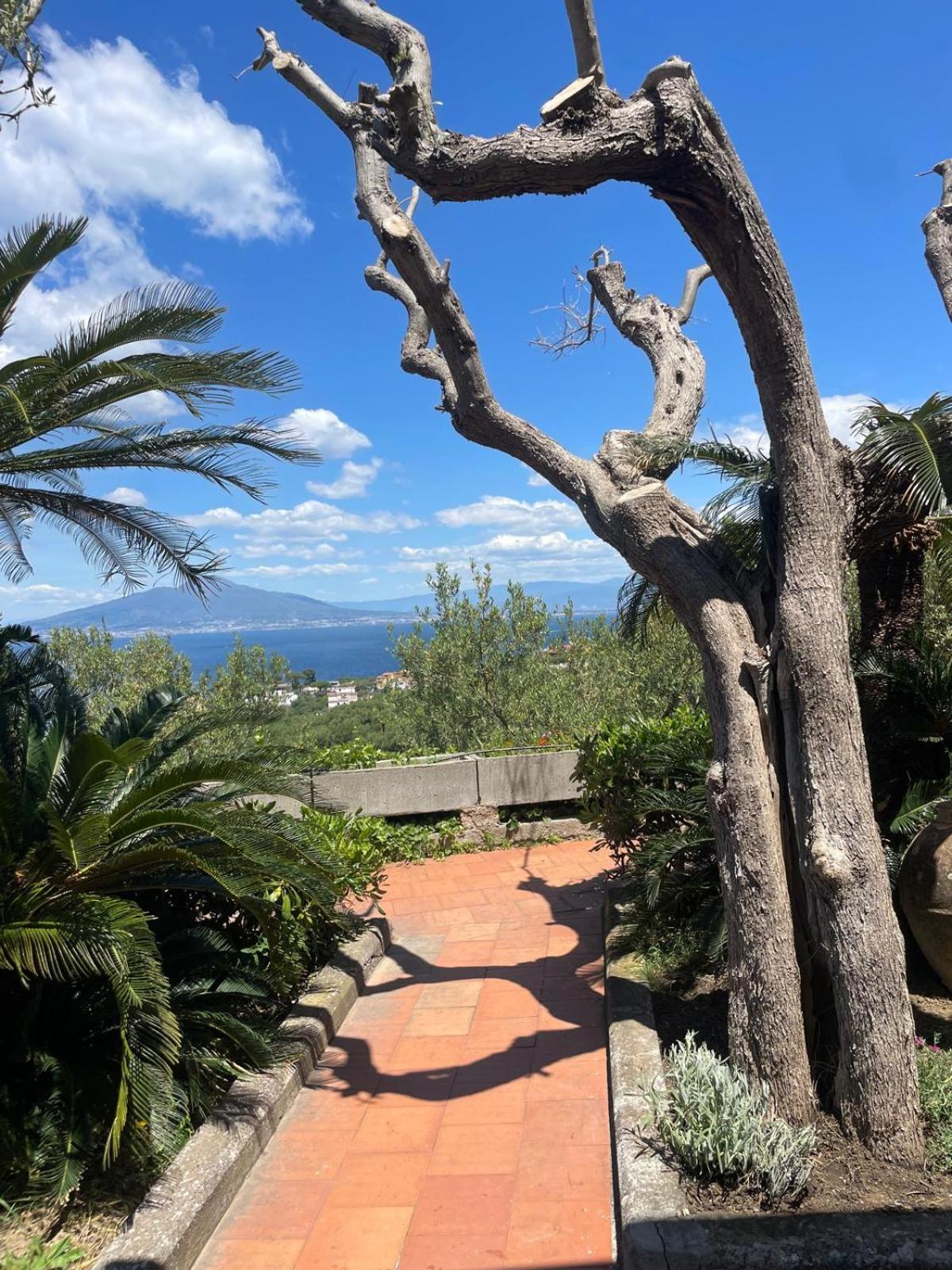 Un Paradiso A Sorrento Con Piscina Масса-Лубренсе Екстер'єр фото